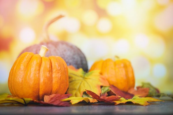 Unique Thanksgiving Traditions to Start with Your Family