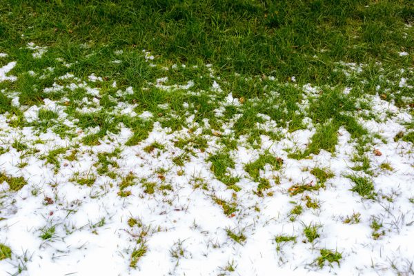 Prepare Your Garden and Lawn for Winter