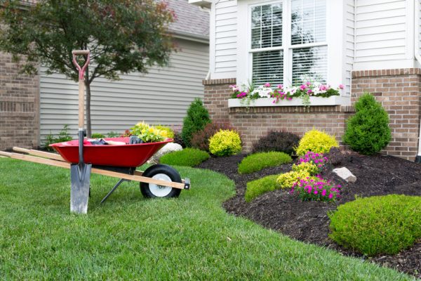 Your Garden Checklist for Spring 2020