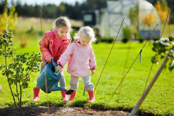 Fall Is the Best Time for Planting