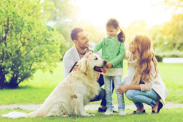 Wyntrebrooke’s Furry Friends Get a Park