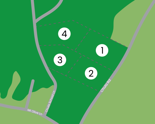 Homes in Amelia VA at Chula Crossing